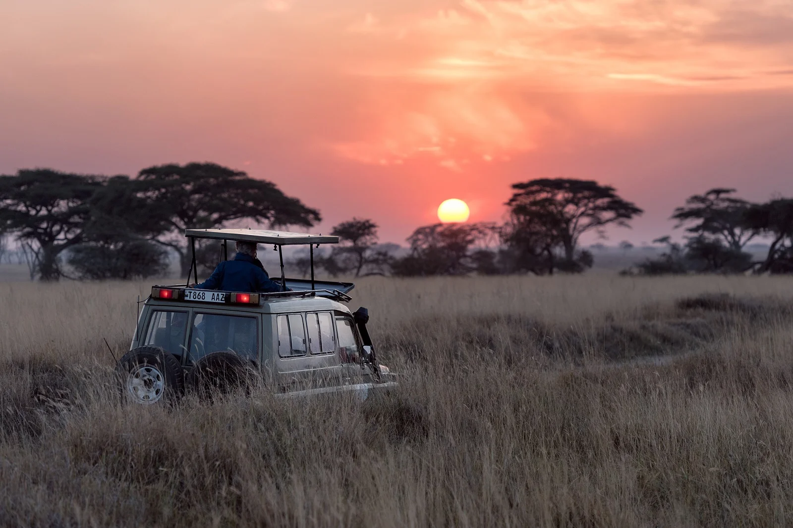 One Week In Zanzibar