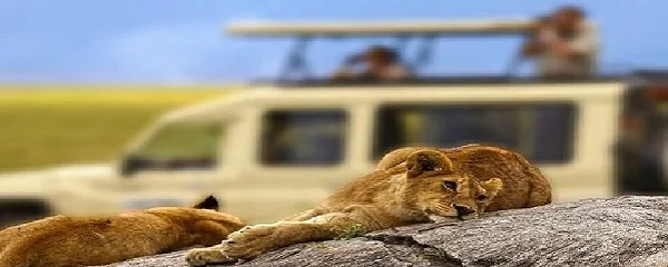 6 days Machame route itinerary